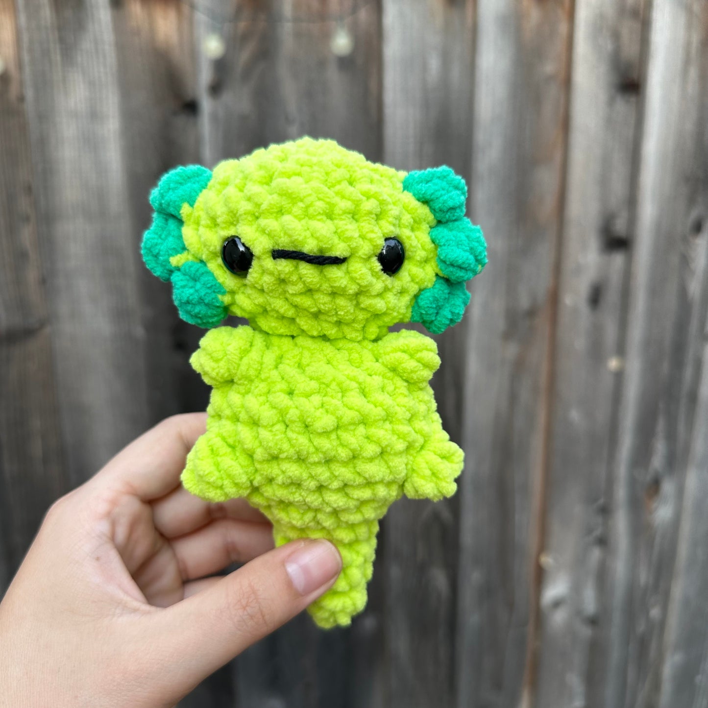 axolotl