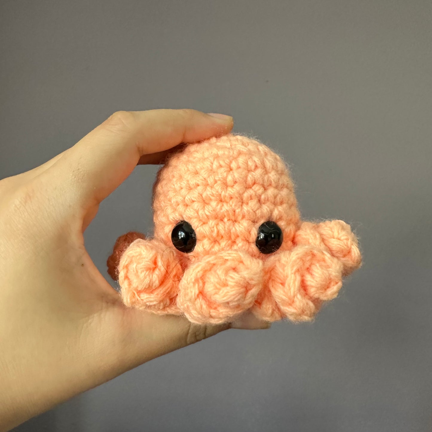 octopus baby