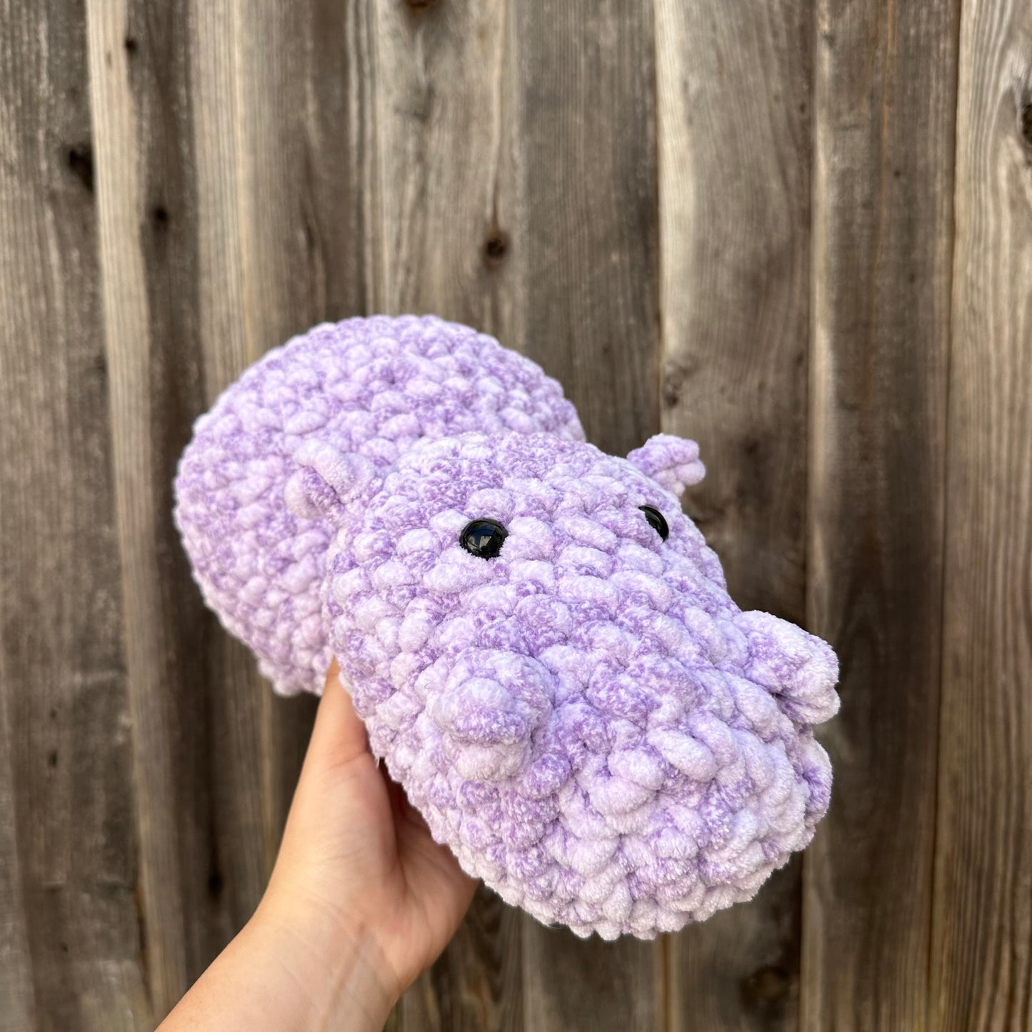 hippo
