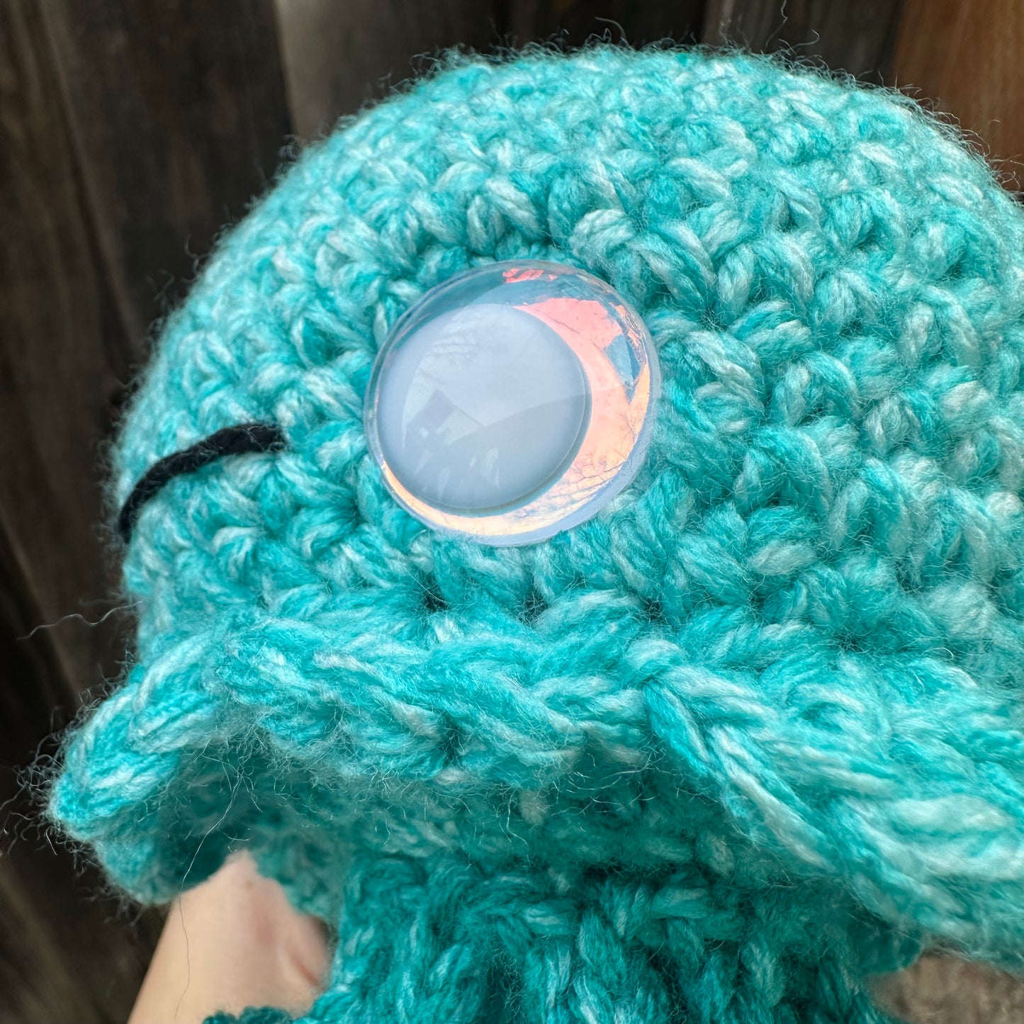 jellyfish