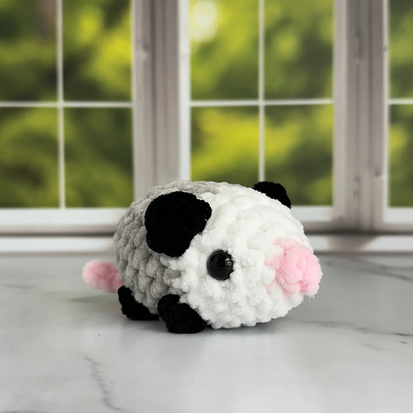 possum
