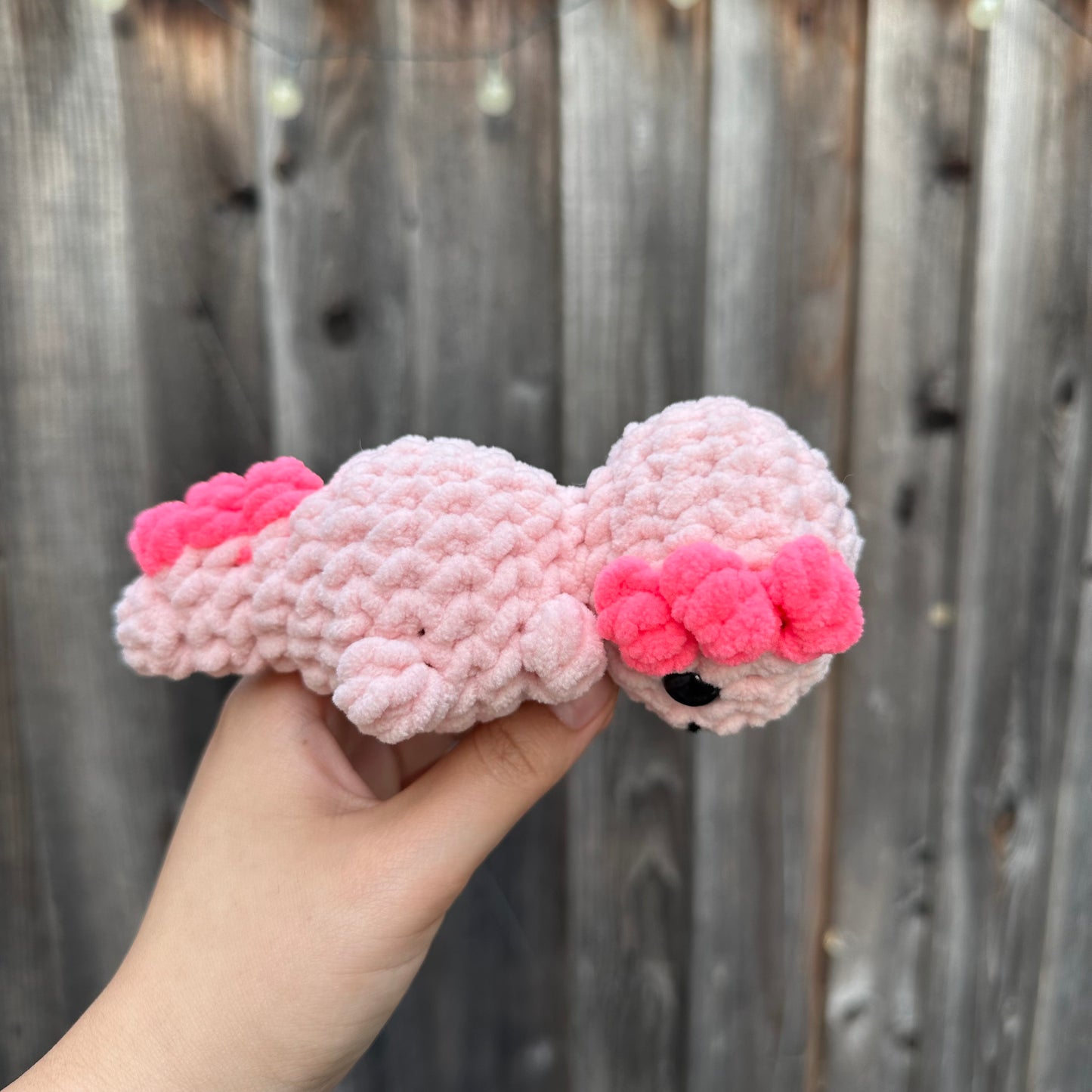 axolotl