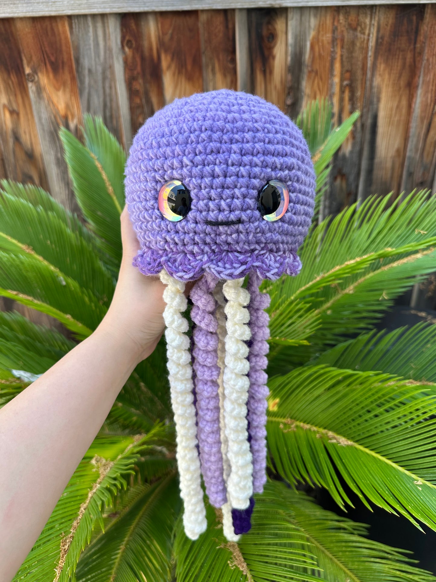 jellyfish jumbo