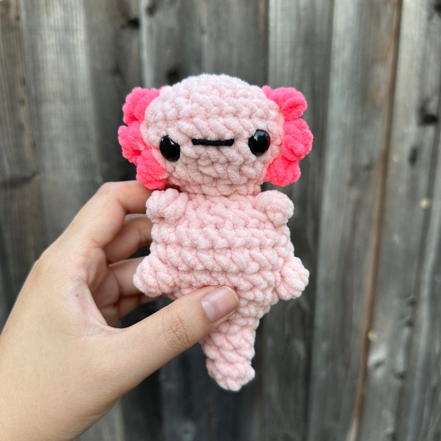 axolotl