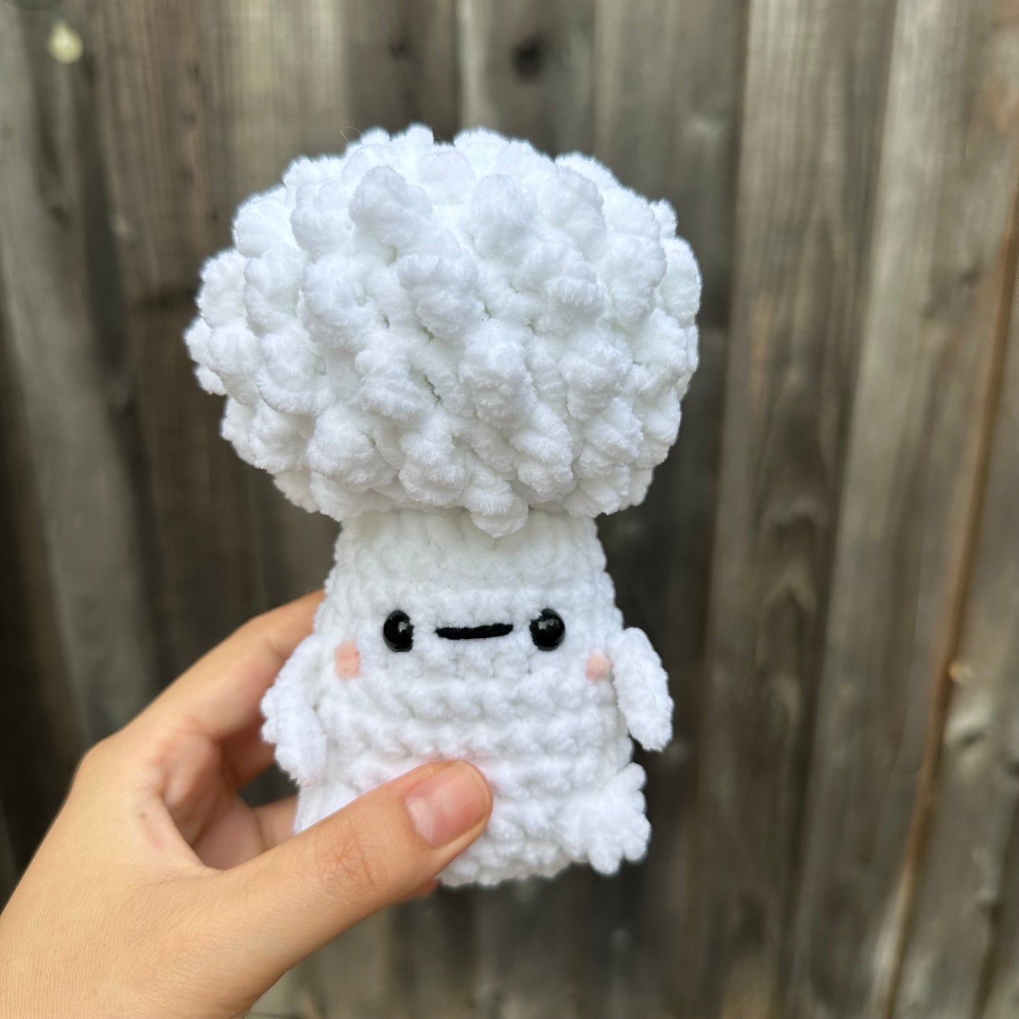 broccoli cauliflower buds