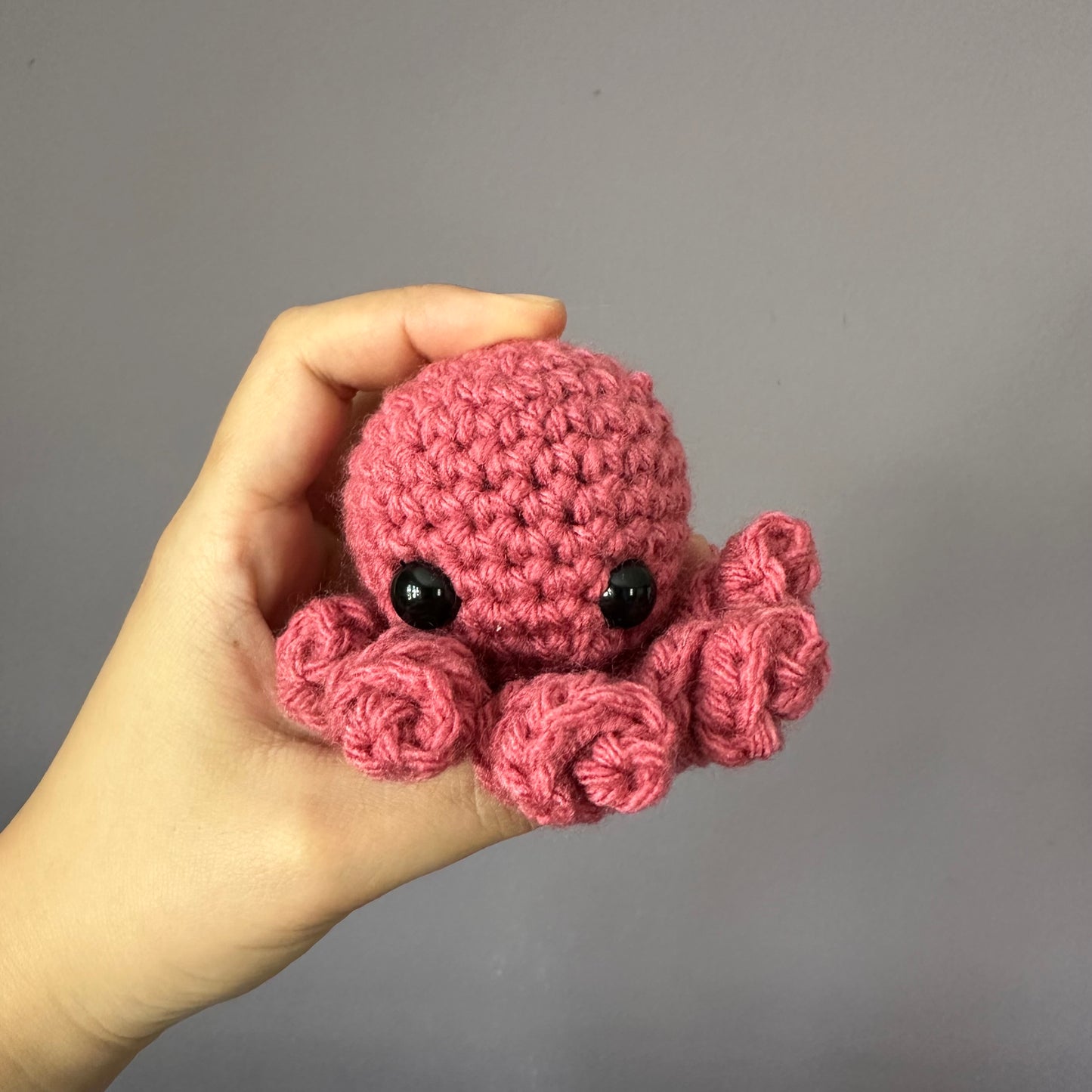 octopus baby