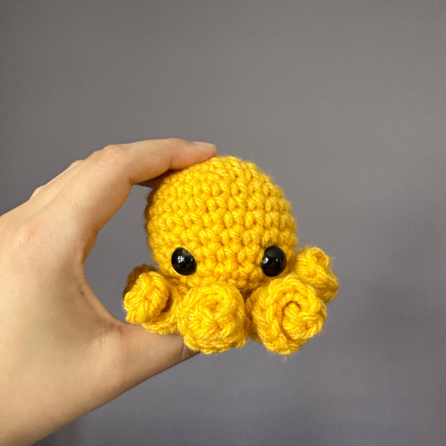 octopus baby
