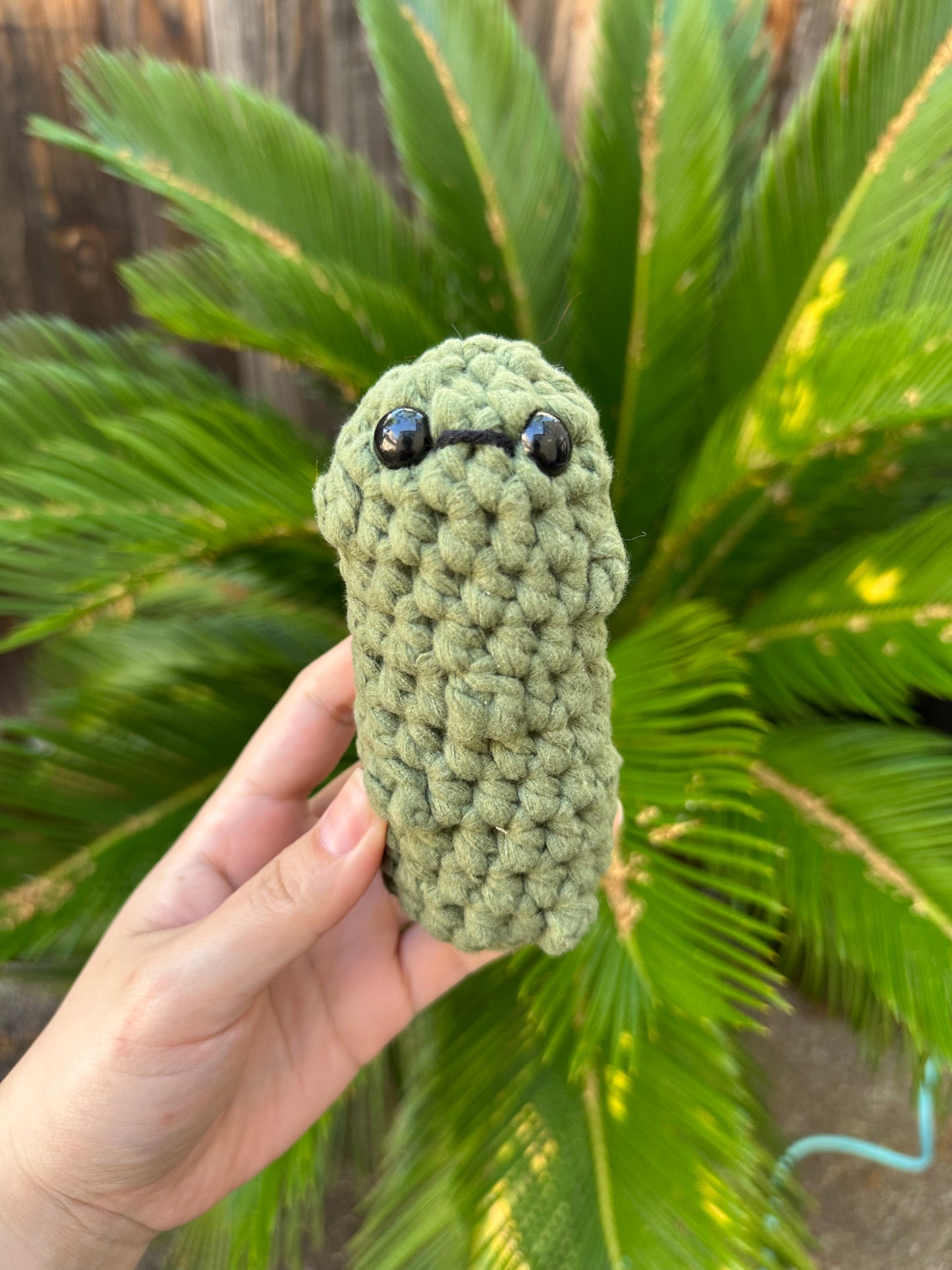 pickle pals
