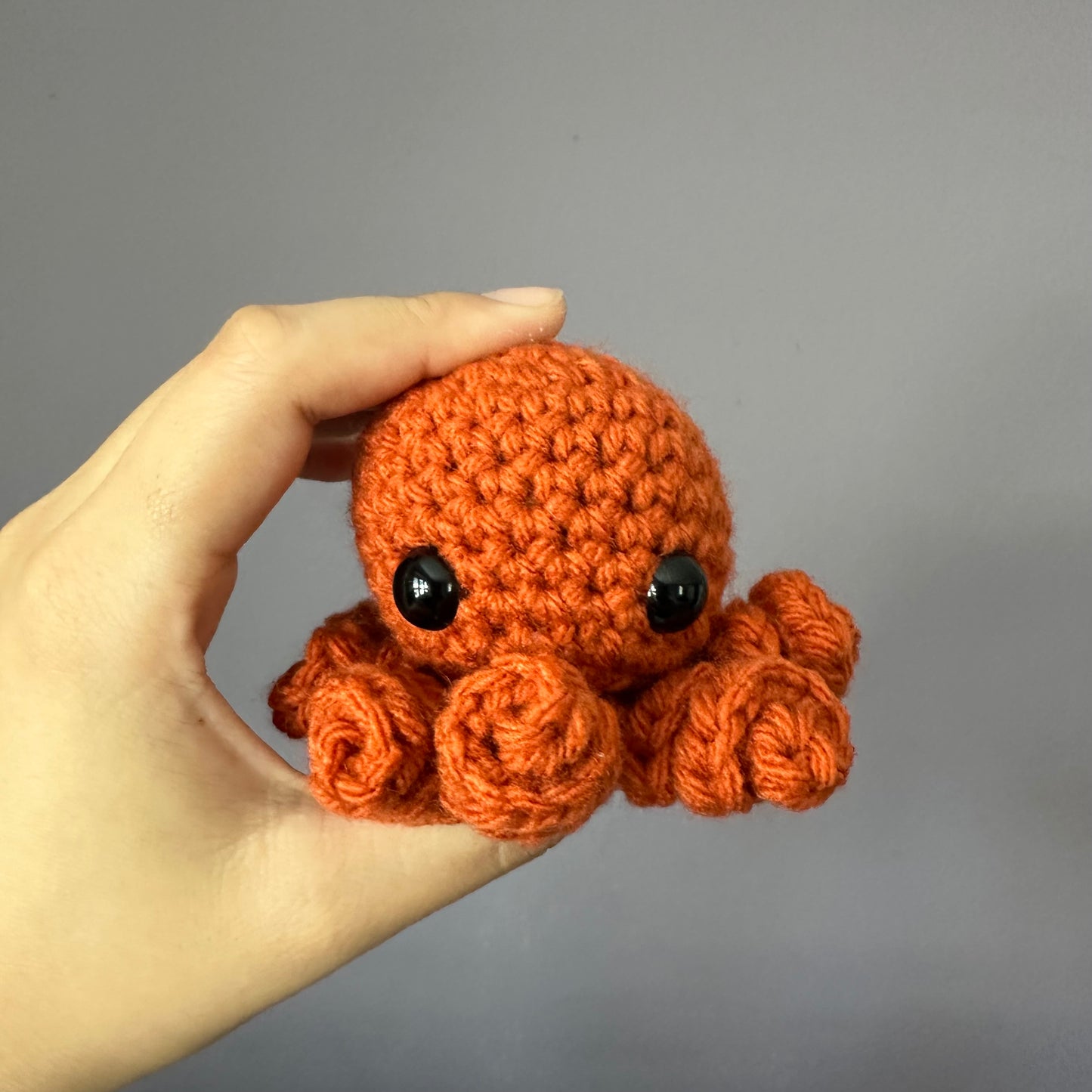 octopus baby