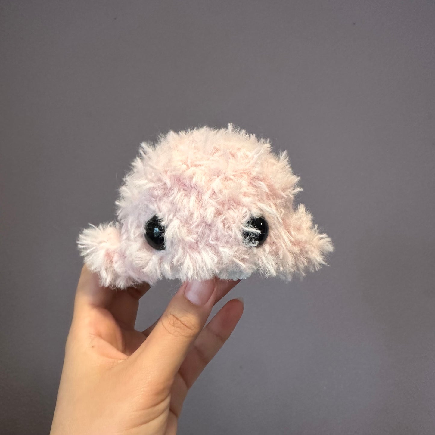 fluffy whale