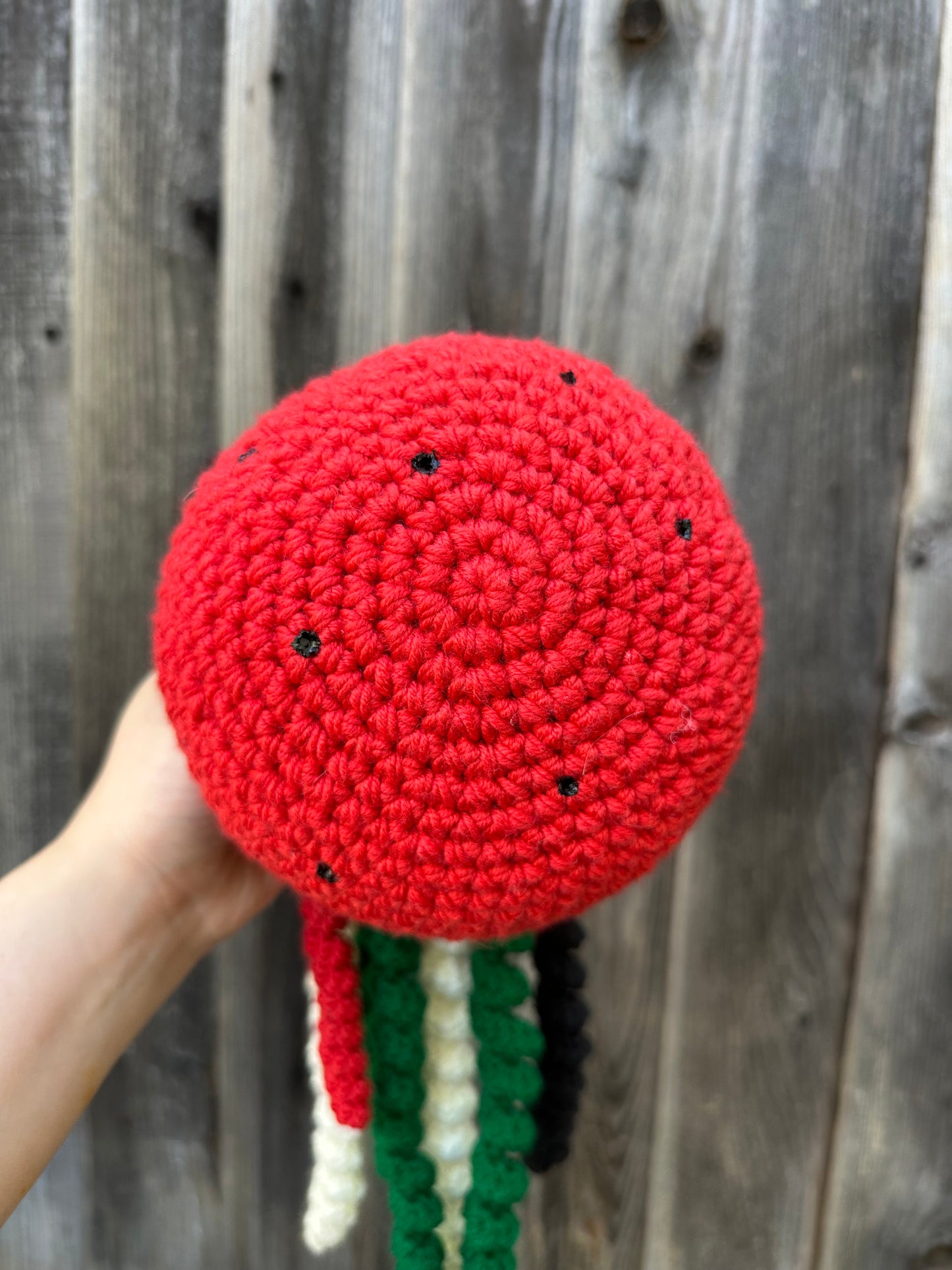 jellyfish jumbo