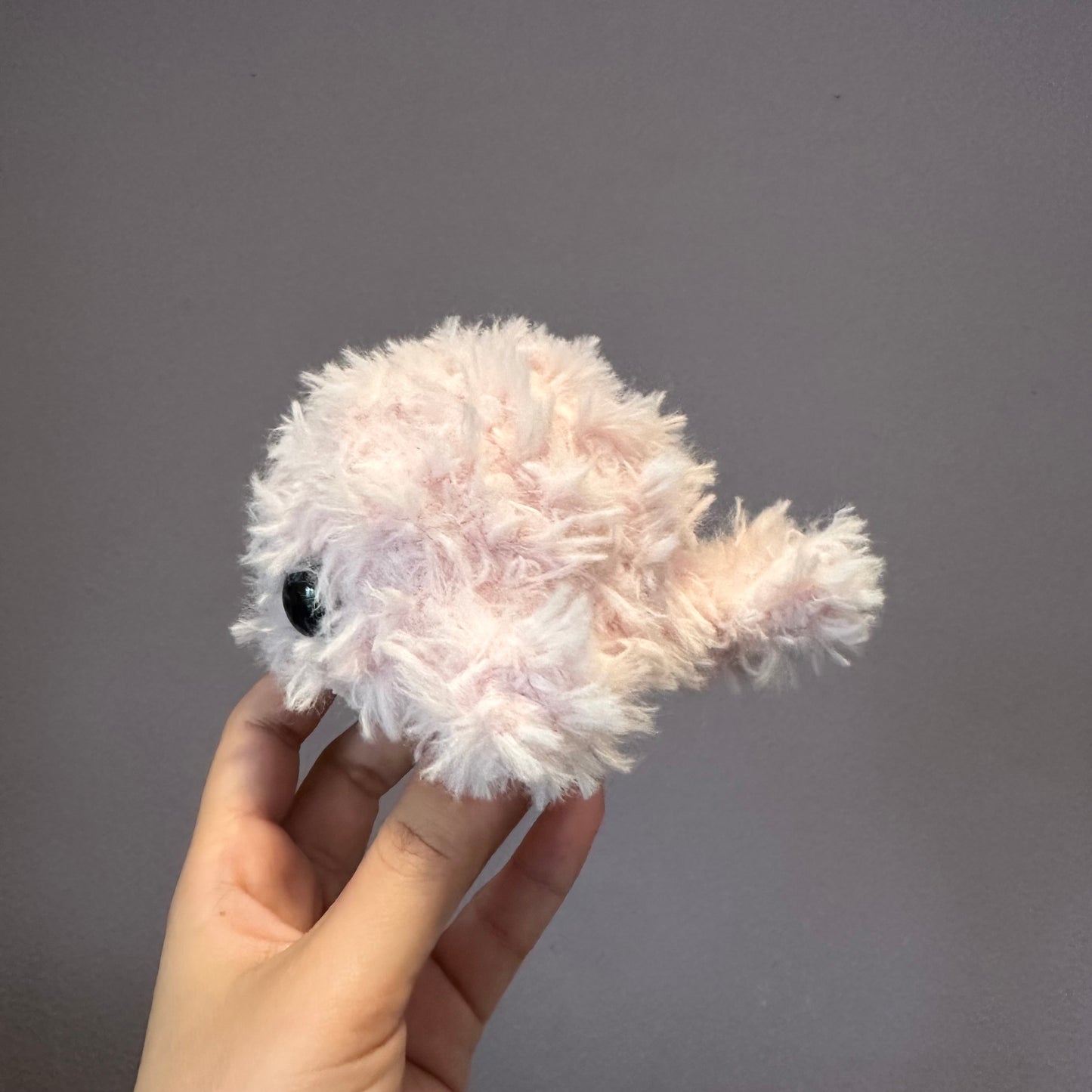 fluffy whale