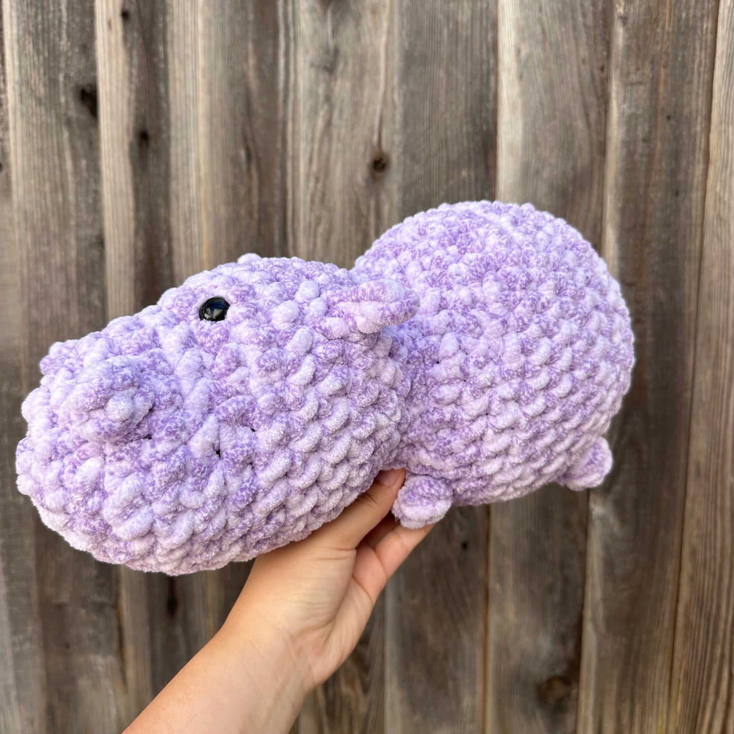hippo