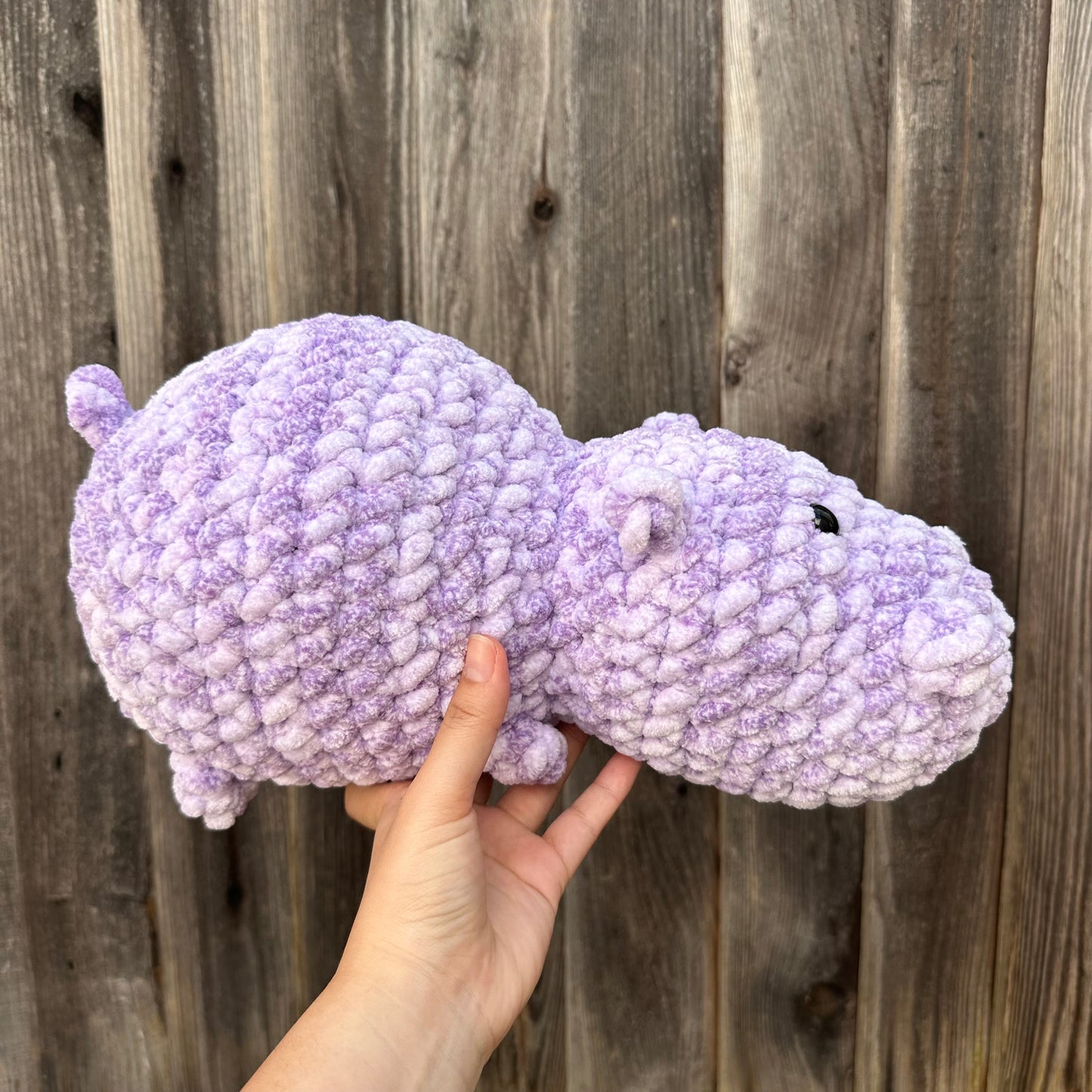 hippo