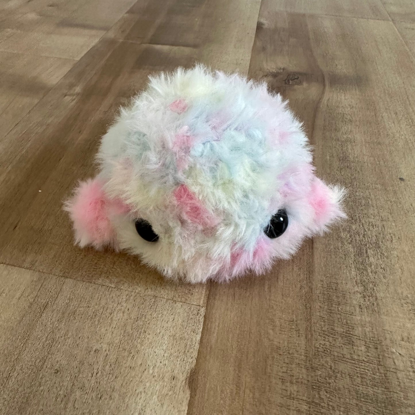 fluffy whale