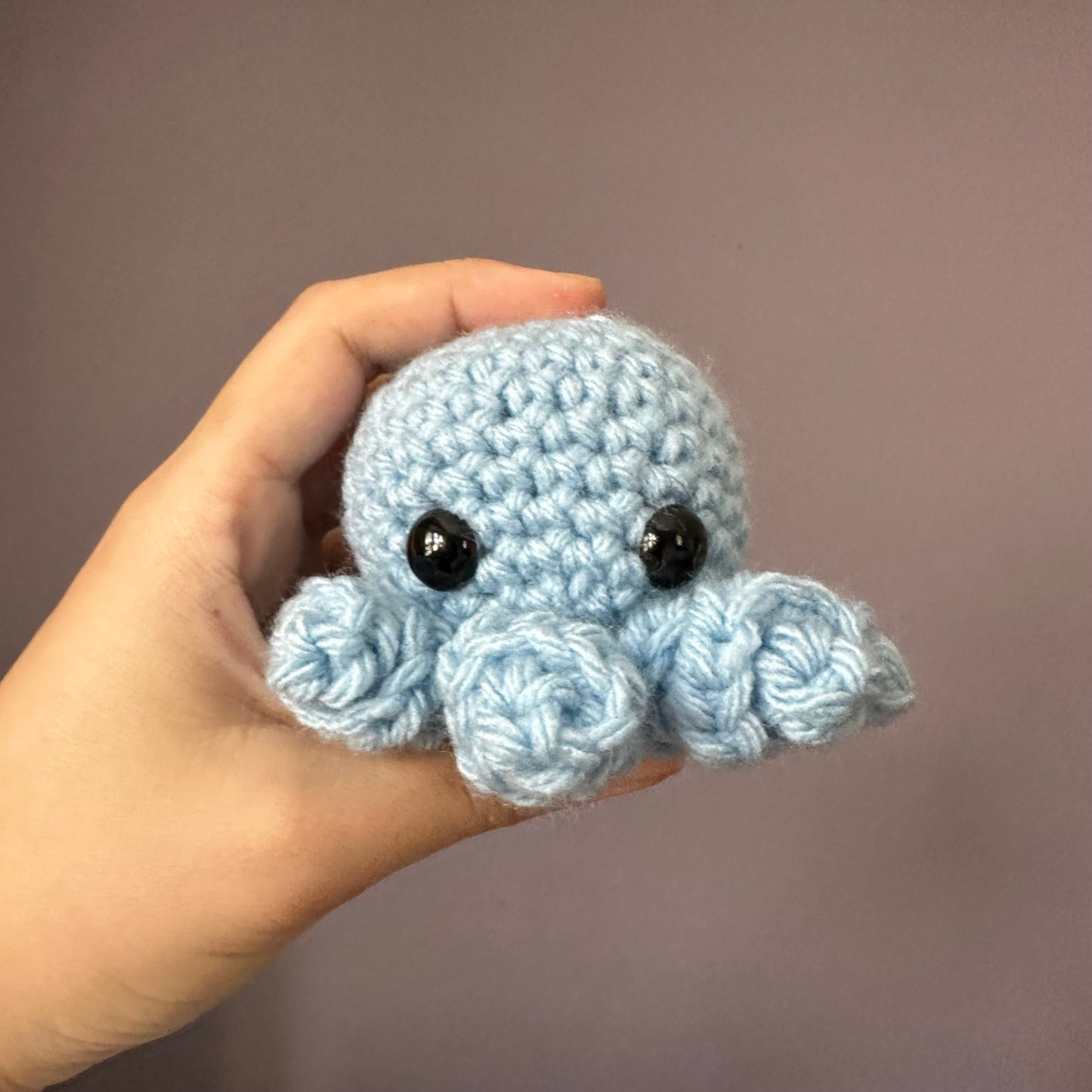 octopus baby