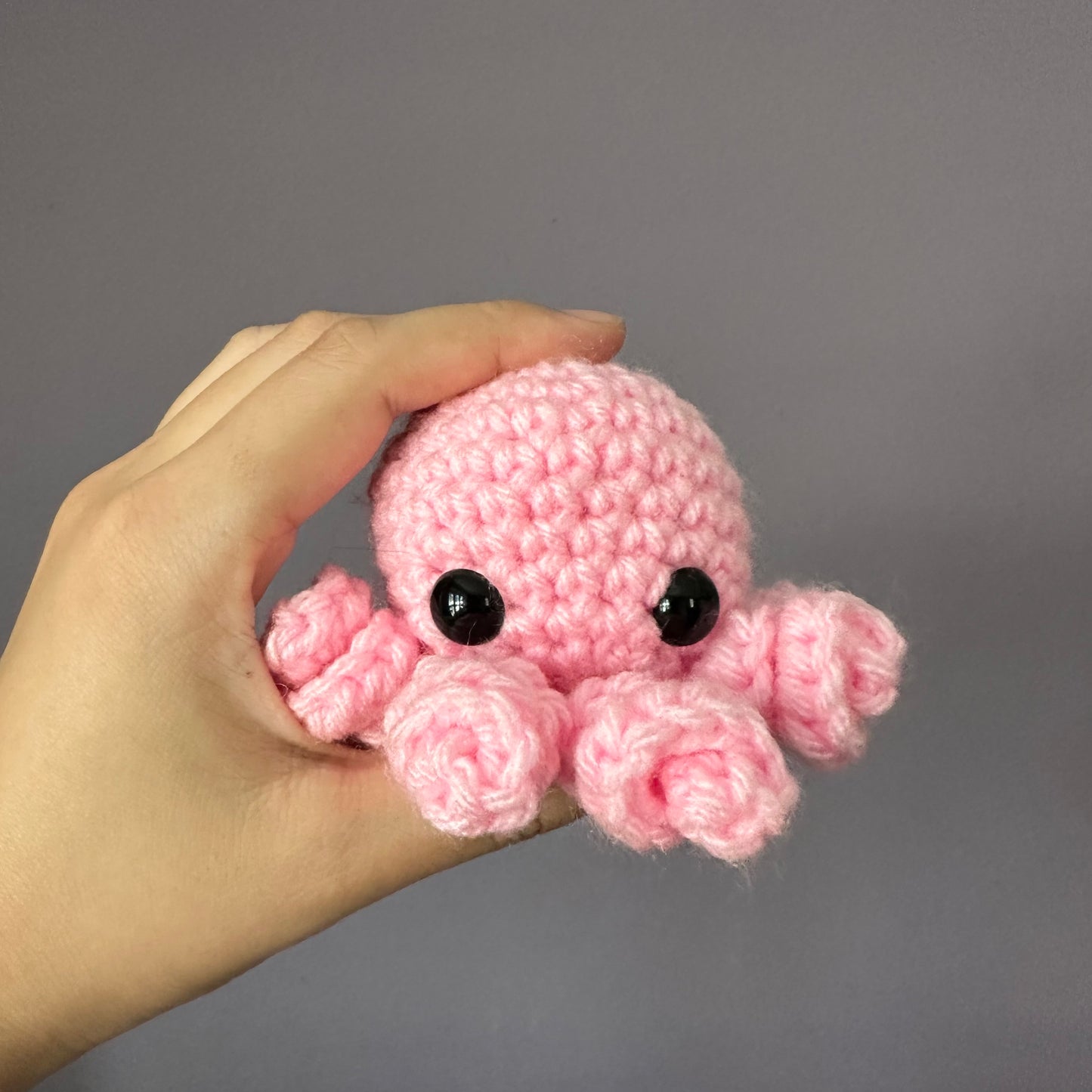 octopus baby