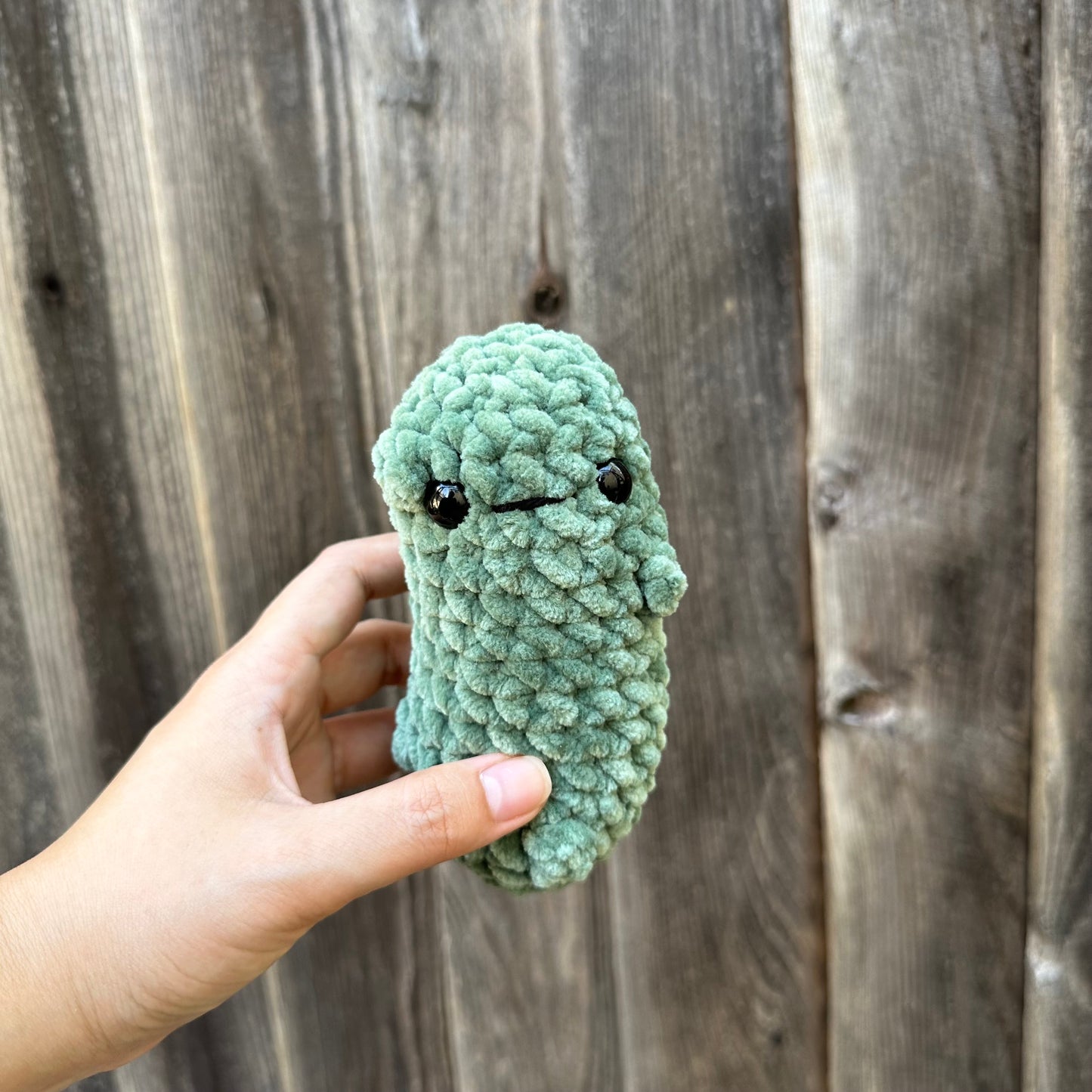 pickle pals