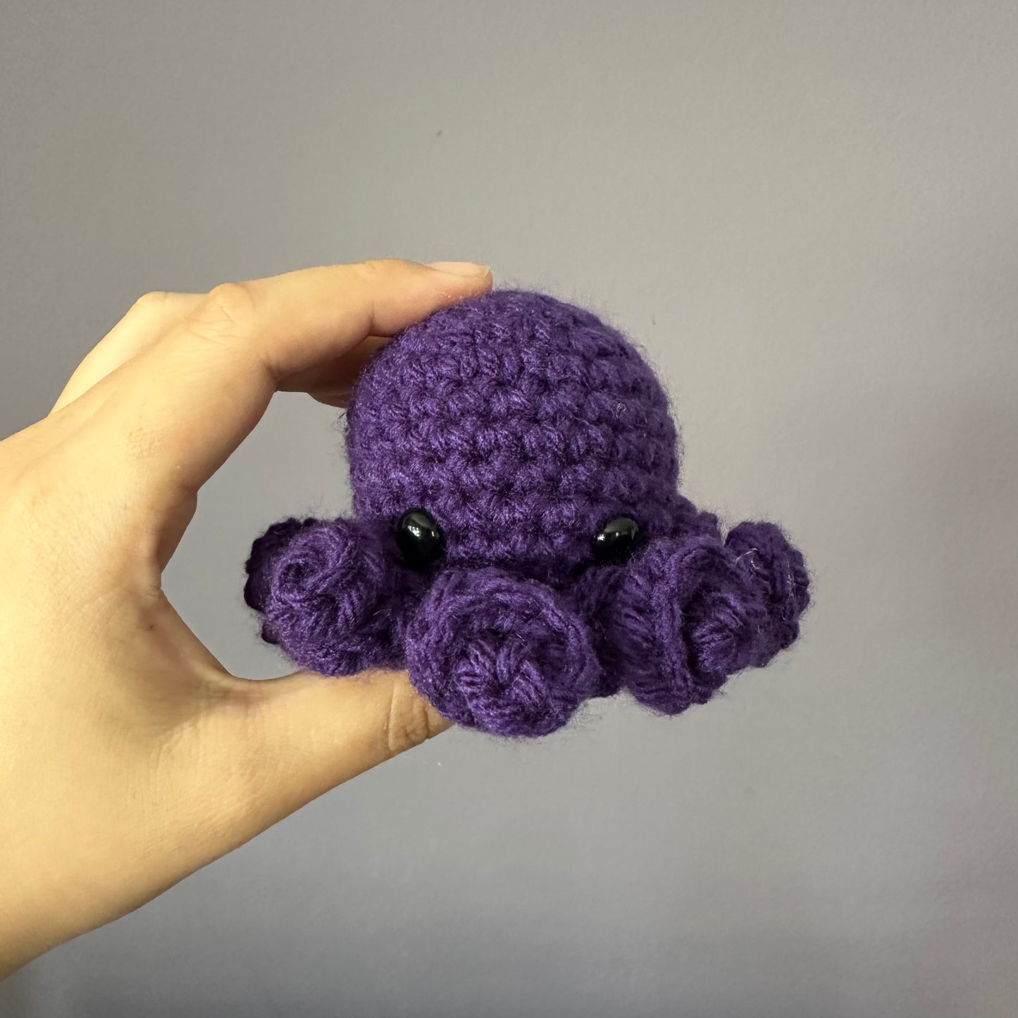octopus baby