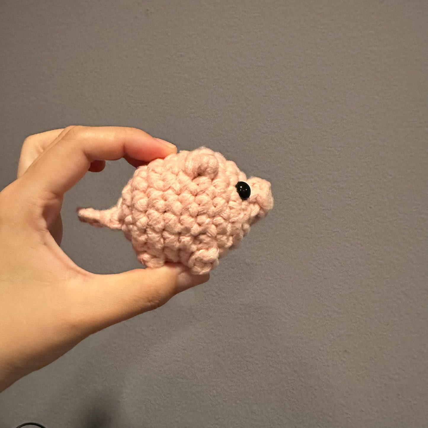 pig baby