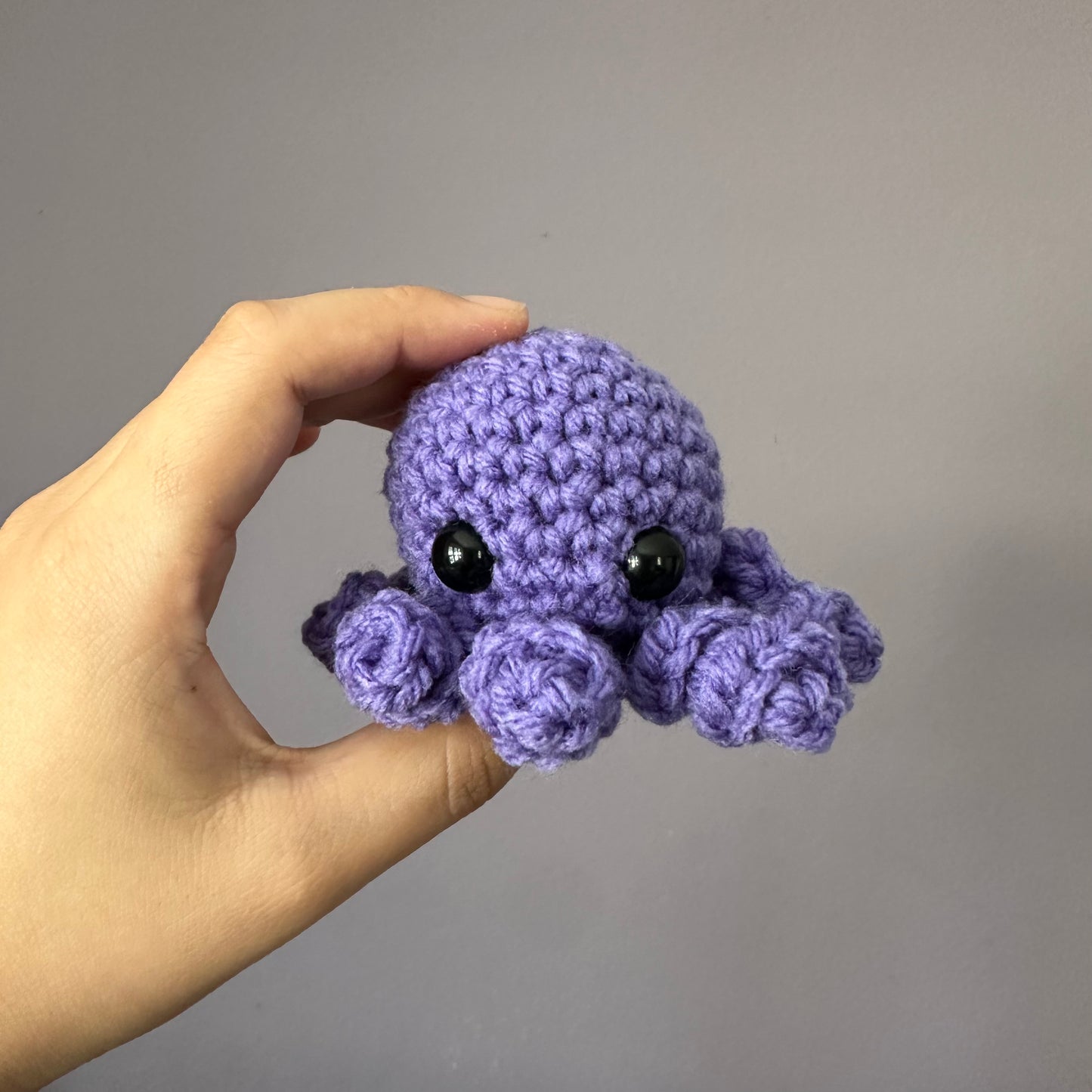 octopus baby