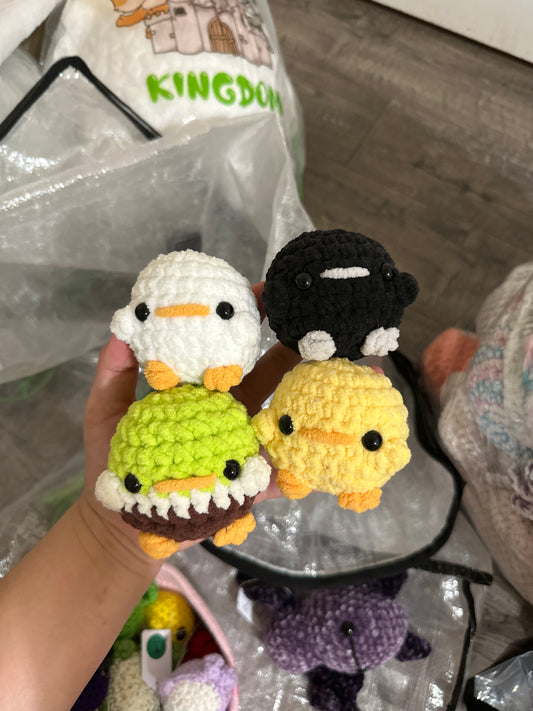 bird babies