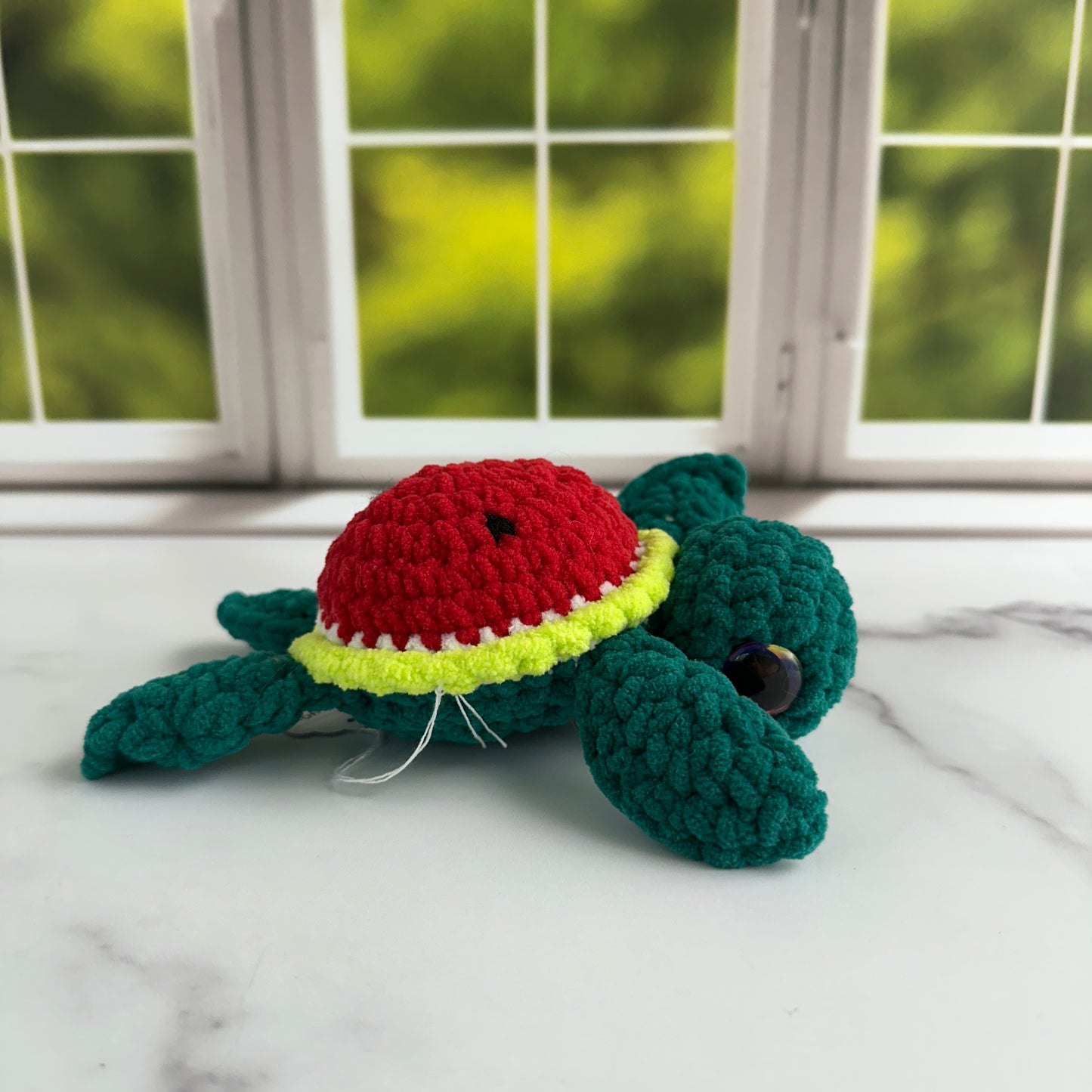 watermelon turtle