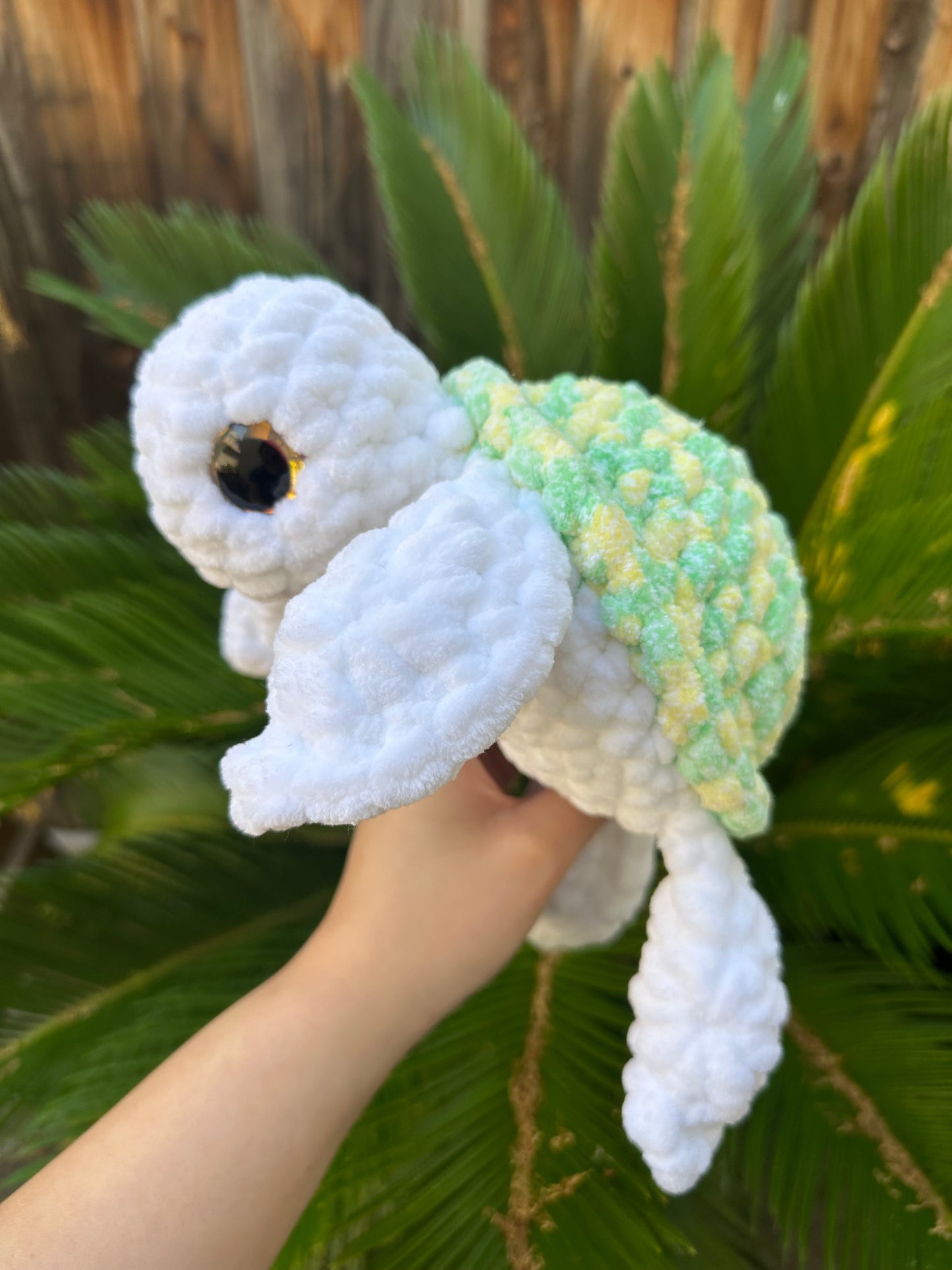 turtle jumbo