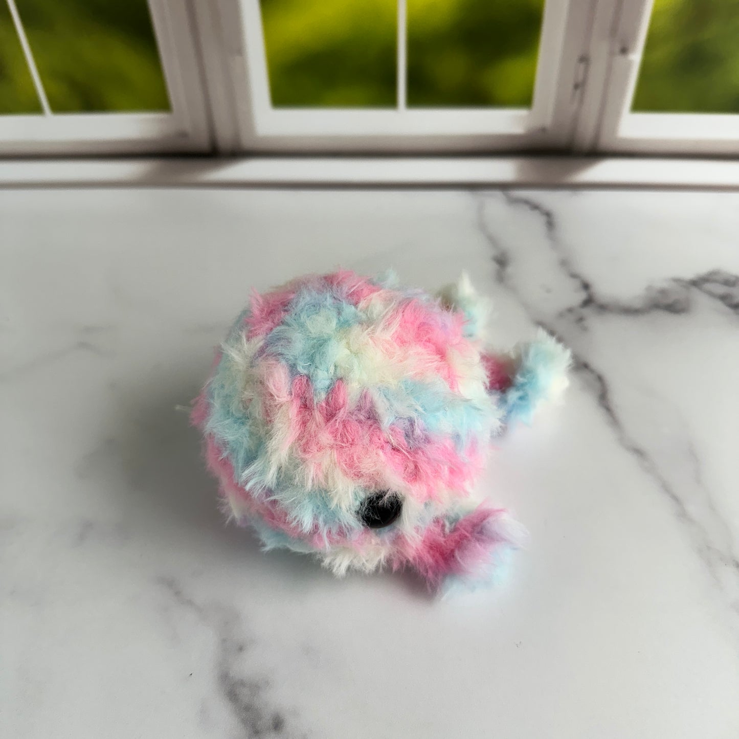 fluffy whale