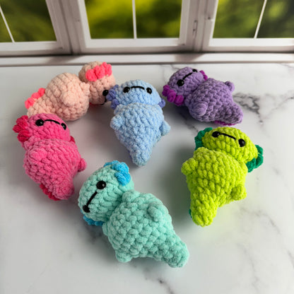 axolotl