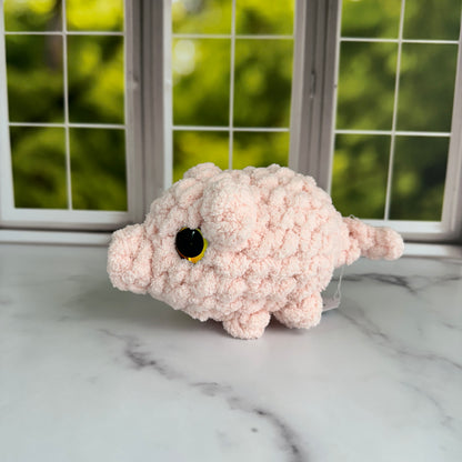 pig baby chonk