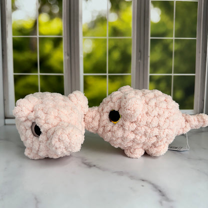 pig baby chonk