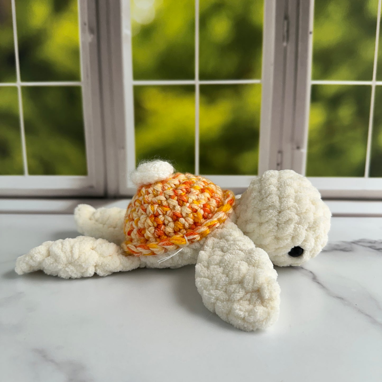 orange creamsicle turtle