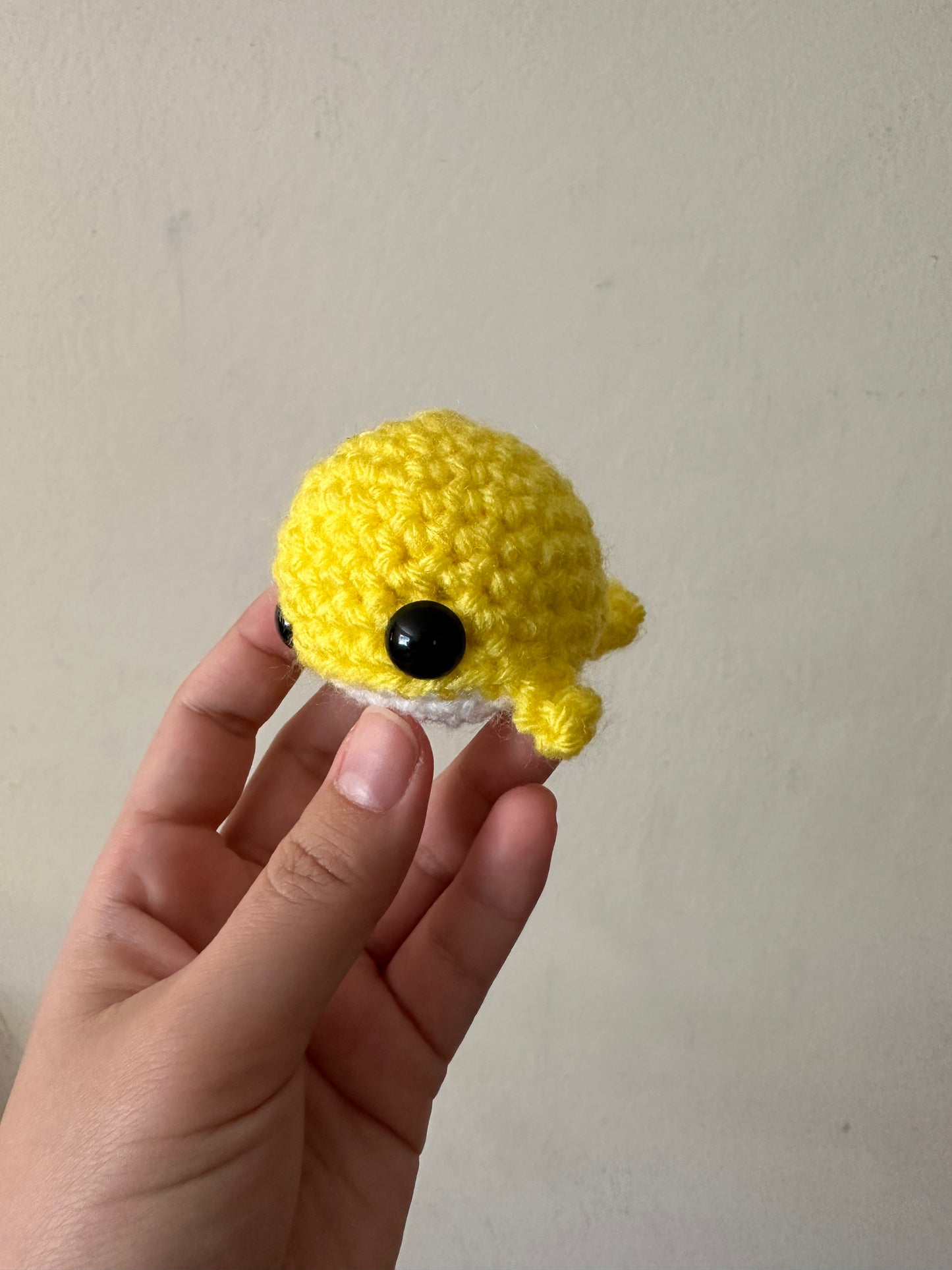 whale oh whale