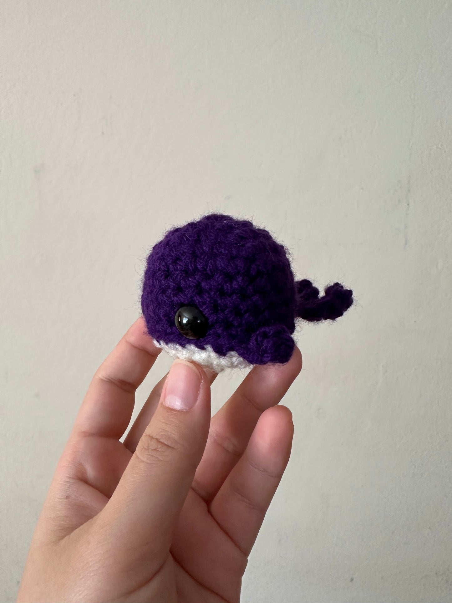 whale oh whale